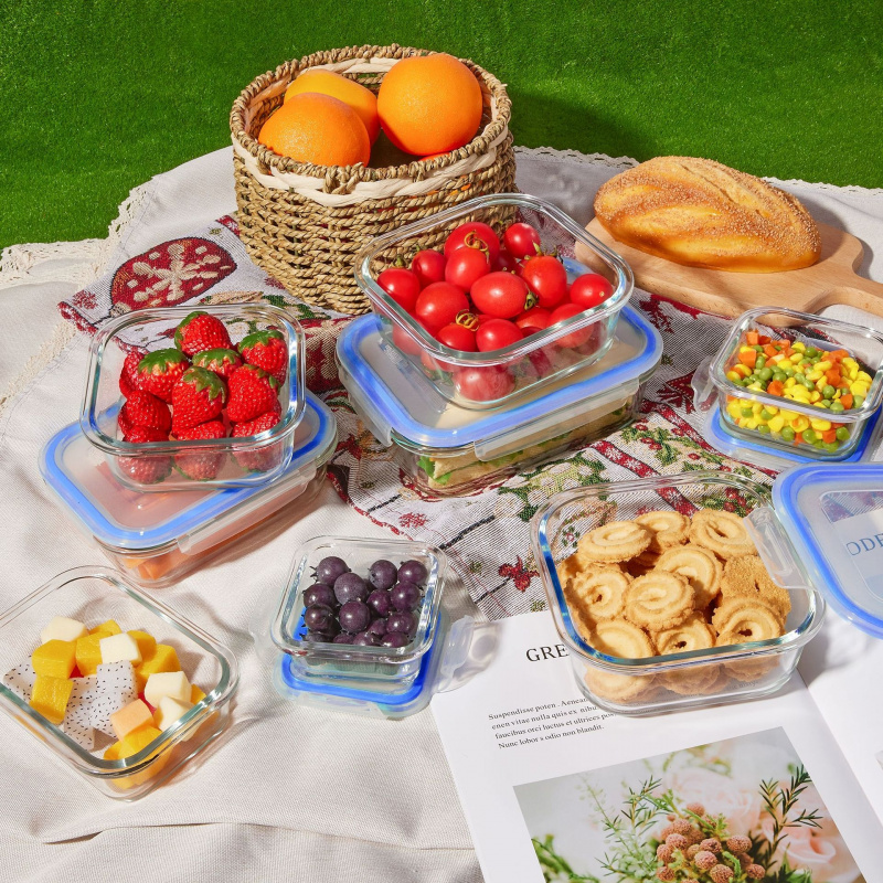Set di 8 Contenitori in Vetro  - Meal Prep Glass Containers Oven Safe recensione e prezzo