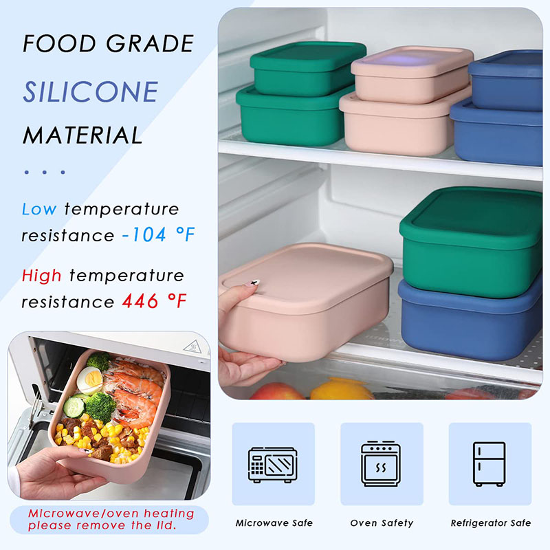 Bento Lunch Box resistente all - Meal Prep Meal Ideas recensione e prezzo